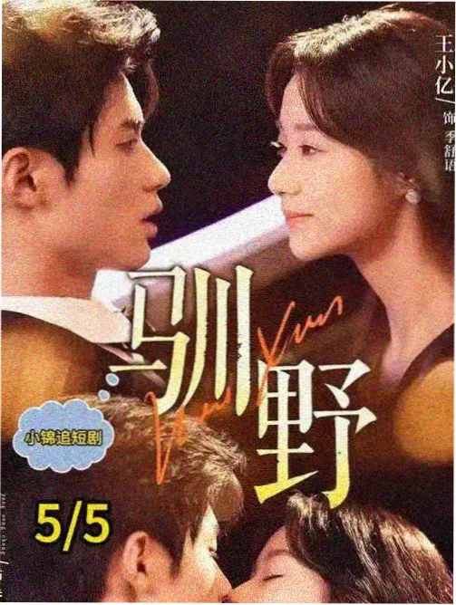 老片修复的尘点清单电视档案封面